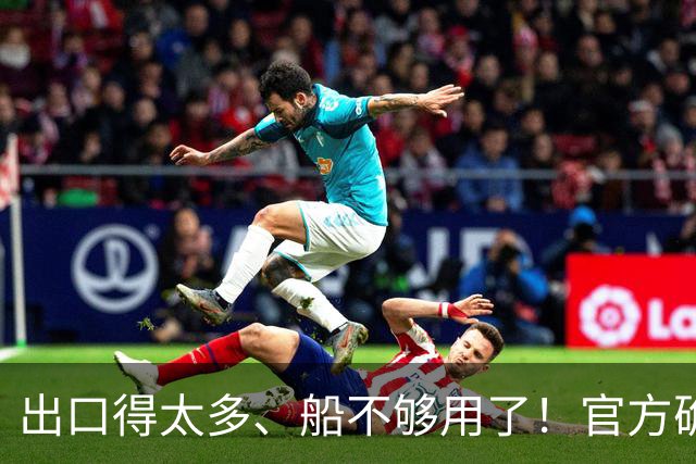 出口得太多、船不够用了！官方确认：比亚迪又买10艘滚装船